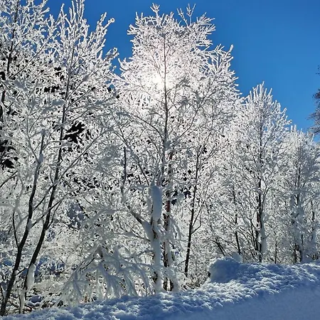 An Der Langlaufloipe - Arnica Lägenhet