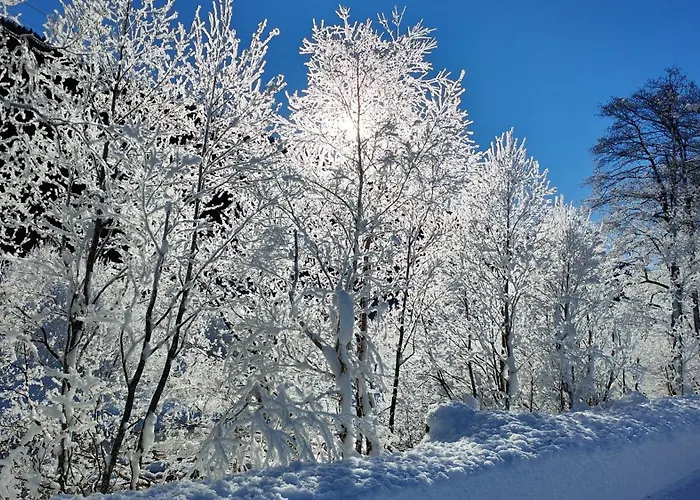An Der Langlaufloipe - Arnica Apartment