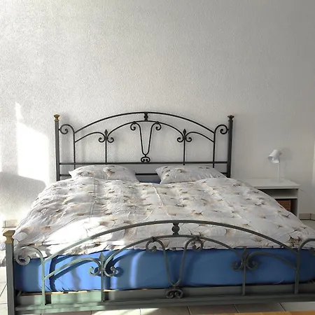 An Der Langlaufloipe - Arnica *