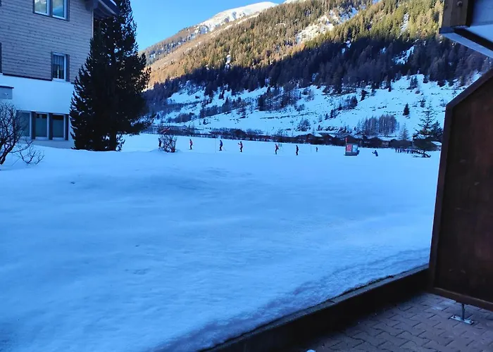 An Der Langlaufloipe - Arnica *